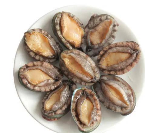 海贝壳的小知识（100种海鲜贝类名称大全）