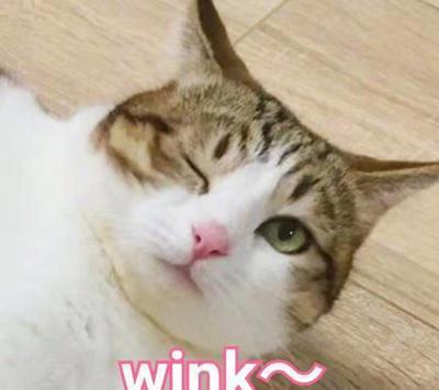 不看完这漫画,你都不知道啥叫绝望