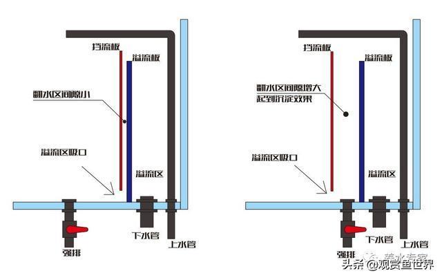 别再傻傻被网络小视频忽悠,你到底需不需要鱼马桶?