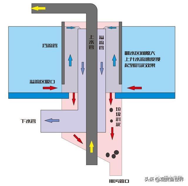 别再傻傻被网络小视频忽悠,你到底需不需要鱼马桶?