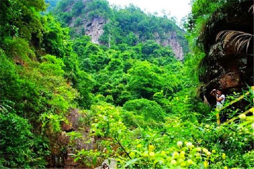 一、北回归线国家森林公园