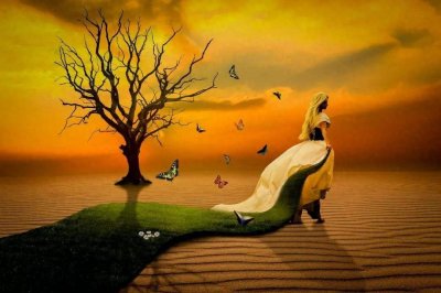 ​人类的特殊感官—先知预感