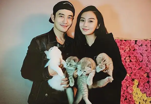 杨颖什么时候离的婚(杨颖黄晓明会复婚吗)