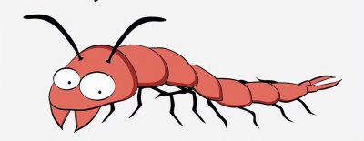 ​世界最大的蜈蚣，体长或超半米，带有毒性，甚至可以捕食蝙蝠和蛇