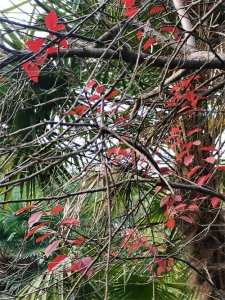 ​国企待遇，让人欢喜，让人忧