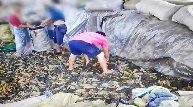 315曝光康师傅老坛酸菜面(康师傅老坛酸菜再上架)(18)