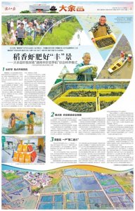 ​大余新闻︱稻香虾肥好“丰”景