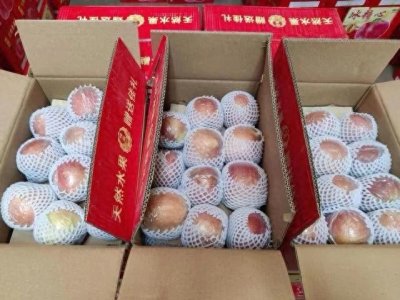 ​苹果行情大逆转！山西果农滞销之苦，武汉成唯一出路！