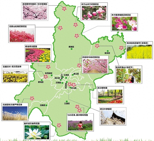 20张地图，带你认识不一样的武汉
