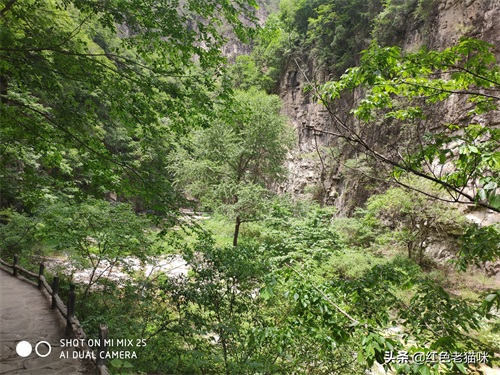 晋城凤凰欢乐谷（苗胜文原创图集）