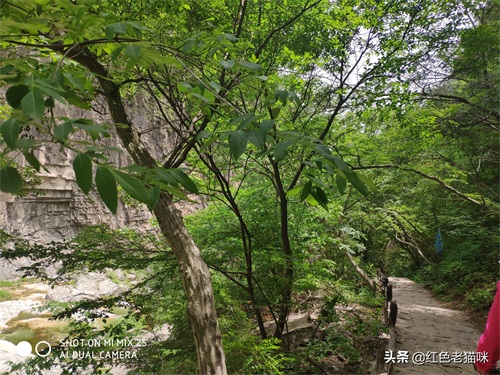 晋城凤凰欢乐谷（苗胜文原创图集）