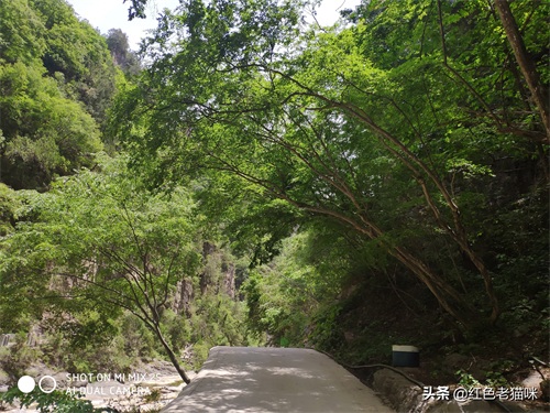 晋城凤凰欢乐谷（苗胜文原创图集）