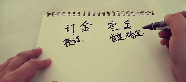 定金的定宝盖头的电荷言字旁的电影有什么区别