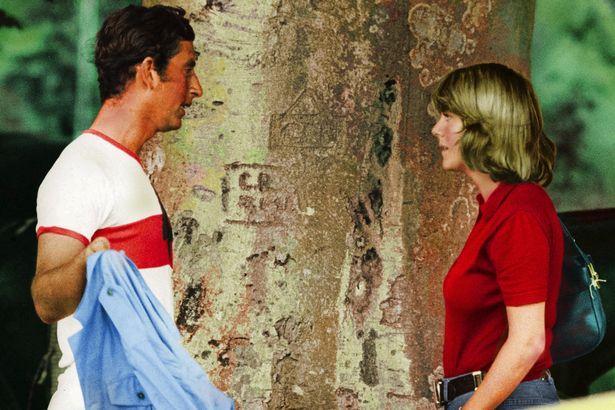 英国新任国王查尔斯简介（英王储查尔斯和威廉王子用昵称唤爱人）(4)