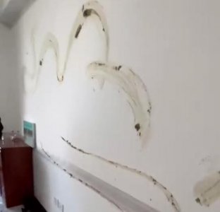 ​大连悲剧：恶臭出租屋背后的房东与租客故事