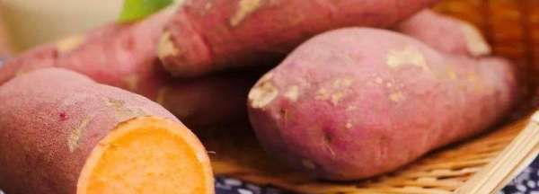 红薯和地瓜是一样东西,红薯和地瓜是一样吗图1