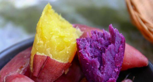 红薯和地瓜是一样东西,红薯和地瓜是一样吗图2