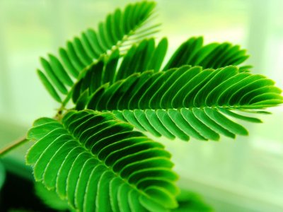 ​靠这些损招真能脱单？古代中国人的求偶巫术