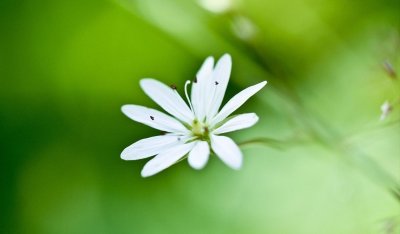 ​女人的“静”，会让男人更上瘾