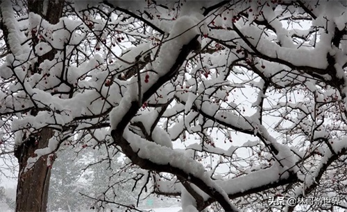 世界风光：美国-密歇根州-底特律