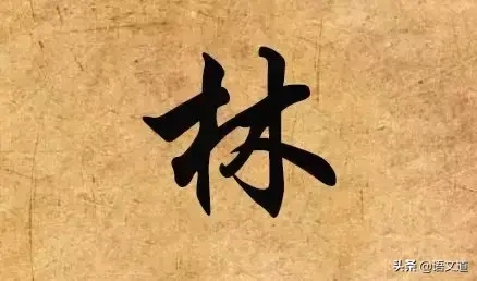 福建姓氏排名前十名有哪些(福建人口比较多的姓氏)