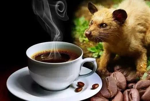 全球最贵的十大鱼子酱（世界上最顶级的食物）