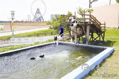 ​江苏省盐城市大丰港动物园换新颜