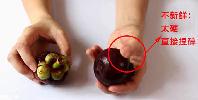 山竹怎么选才是新鲜的 又甜又水嫩的山竹这样挑 山竹怎么选才是新鲜的 又甜又水嫩的山竹这样挑