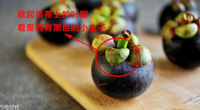 山竹怎么选才是新鲜的 又甜又水嫩的山竹这样挑 山竹怎么选才是新鲜的 又甜又水嫩的山竹这样挑