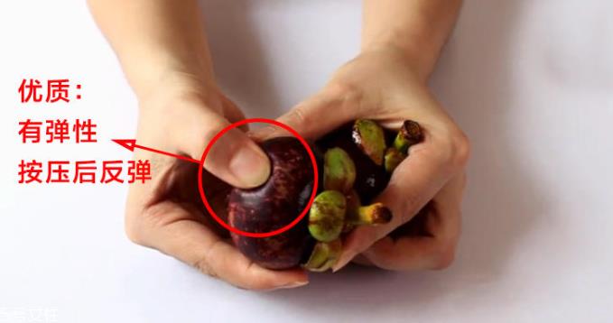 山竹怎么选才是新鲜的 又甜又水嫩的山竹这样挑 山竹怎么选才是新鲜的 又甜又水嫩的山竹这样挑