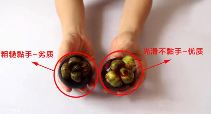 山竹怎么选才是新鲜的 又甜又水嫩的山竹这样挑 山竹怎么选才是新鲜的 又甜又水嫩的山竹这样挑