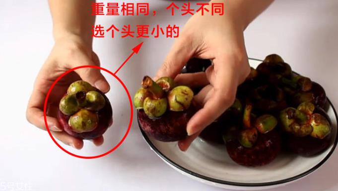 山竹怎么选才是新鲜的 又甜又水嫩的山竹这样挑 山竹怎么选才是新鲜的 又甜又水嫩的山竹这样挑