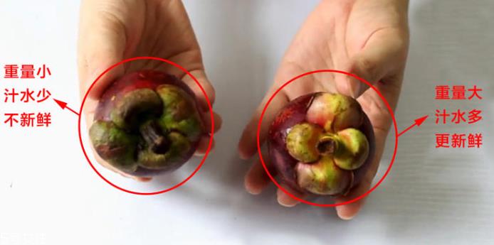 山竹怎么选才是新鲜的 又甜又水嫩的山竹这样挑 山竹怎么选才是新鲜的 又甜又水嫩的山竹这样挑