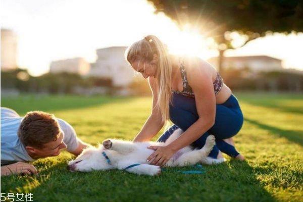 夫妻如何相处感情才能越来越好 怎么样夫妻才能感情好 夫妻如何相处感情才能越来越好 怎么样夫妻才能感情好