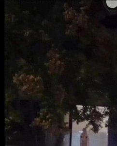 ​双马尾小萝莉在国宾暮云酒店窗前被偷拍，曝光现场惊艳瞬间！