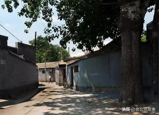 北京老胡同名字（北京城里胡同名字的由来）(41)