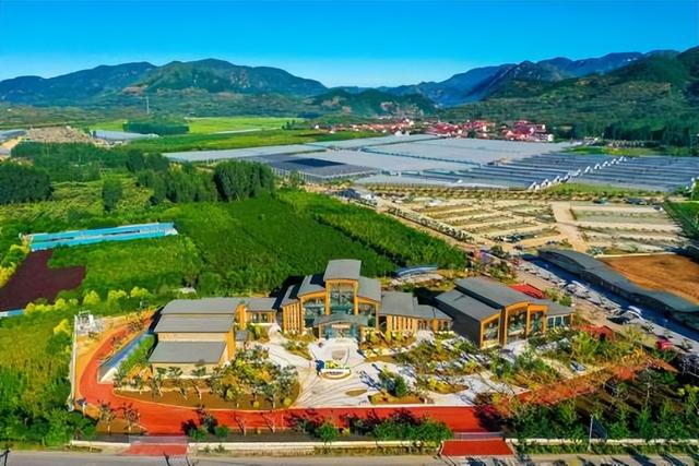 乡村旅游振兴攻略（乡村四时好风光）(3)