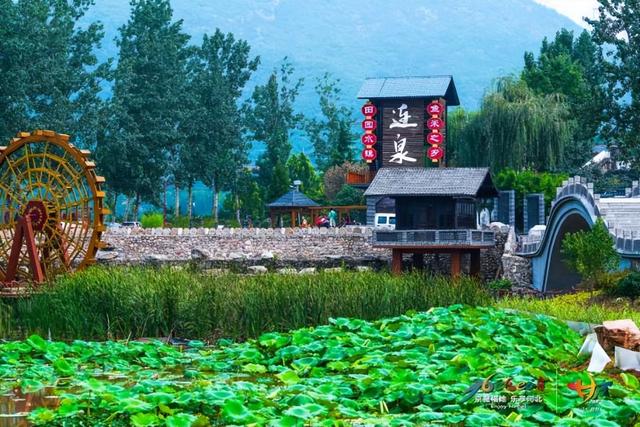 乡村旅游振兴攻略（乡村四时好风光）(11)