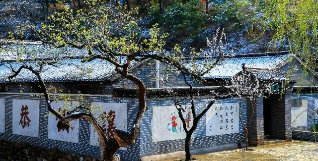 乡村旅游振兴攻略（乡村四时好风光）(4)