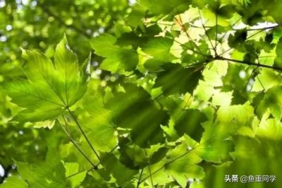 ​农历五月为何有“恶月”“毒月”之说？“善正月，恶五月”啥意思