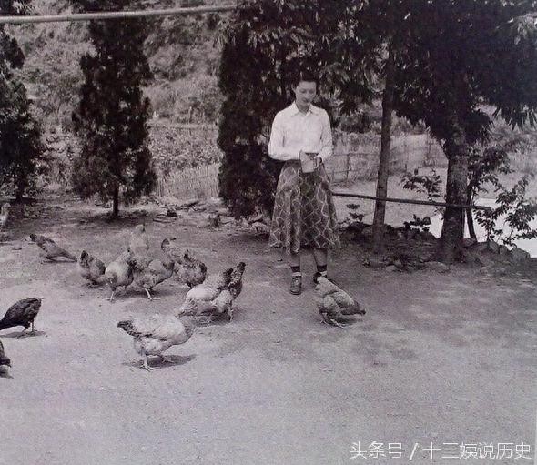 张学良在台湾被软禁期间拍摄的赵一荻照片：此时的她后悔了吗？