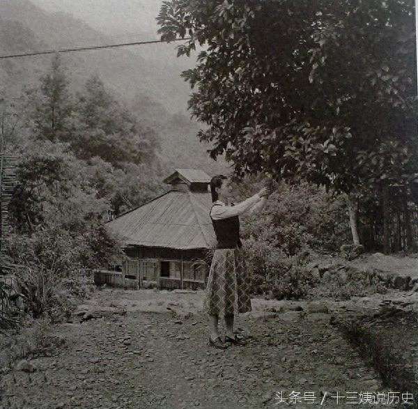 张学良在台湾被软禁期间拍摄的赵一荻照片：此时的她后悔了吗？