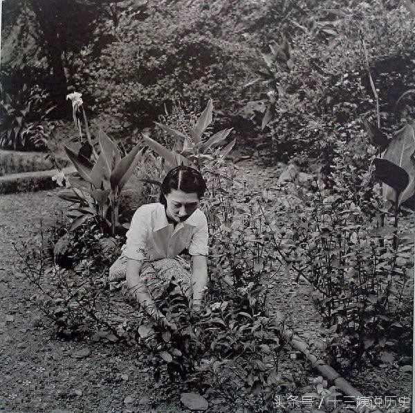 张学良在台湾被软禁期间拍摄的赵一荻照片：此时的她后悔了吗？