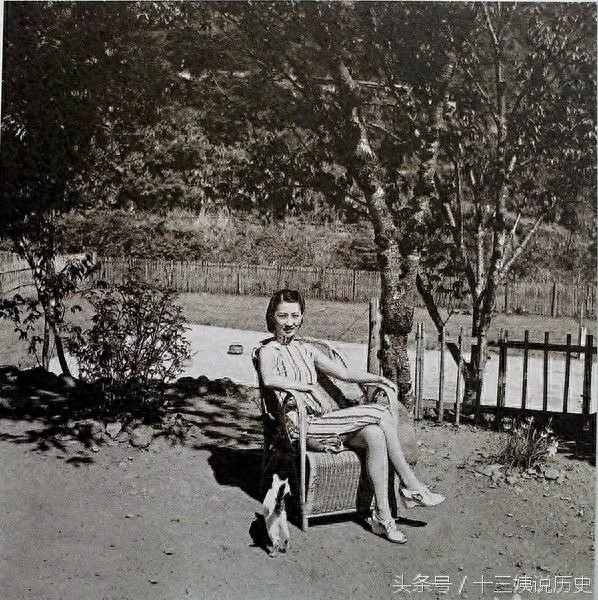 张学良在台湾被软禁期间拍摄的赵一荻照片：此时的她后悔了吗？