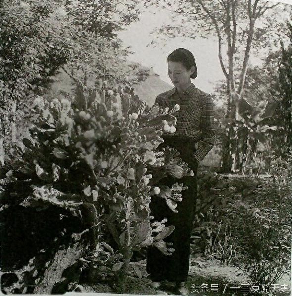 张学良在台湾被软禁期间拍摄的赵一荻照片：此时的她后悔了吗？