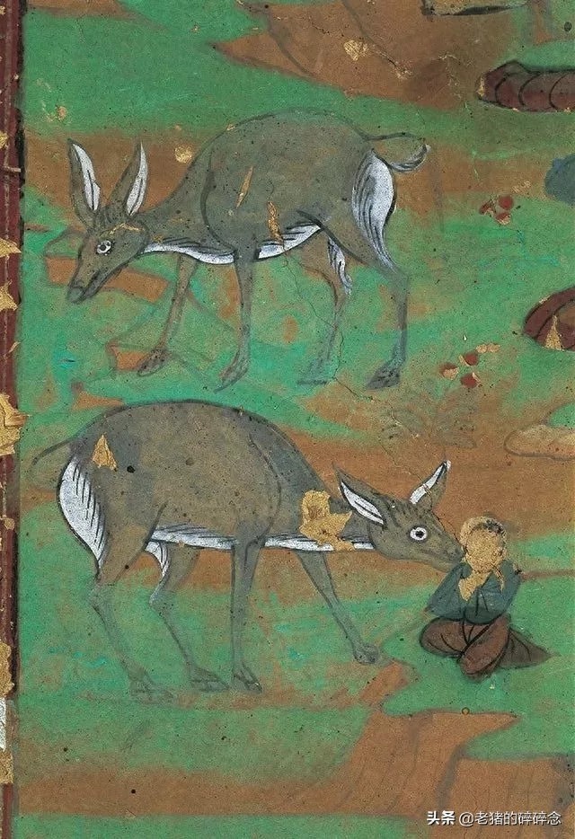 享誉世界的民族文化遗产，敦煌莫高窟壁画上的动物们