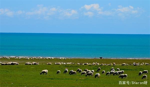 青海在哪里属于哪个省(3)_