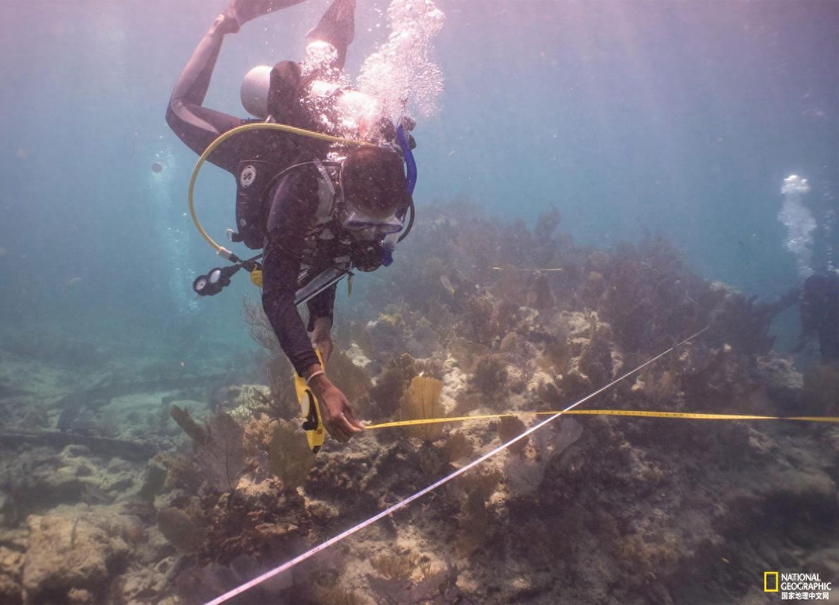 深入水下，了解失事奴隶船的历史