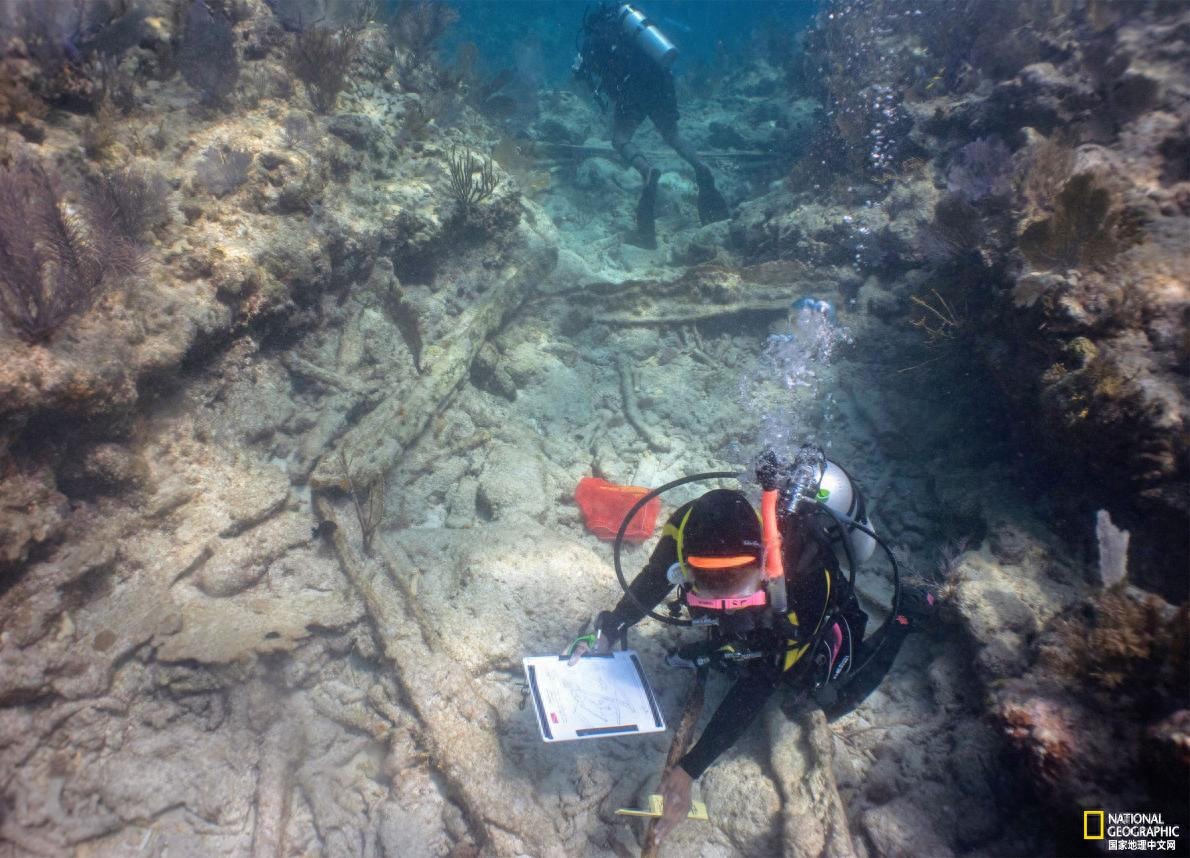 深入水下，了解失事奴隶船的历史