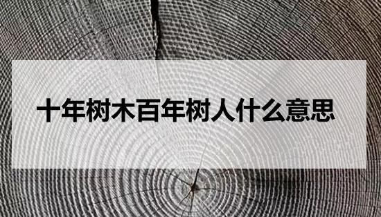 十年树木百年树人的两个树分别是什么意思（十年树木百年树人的意思）